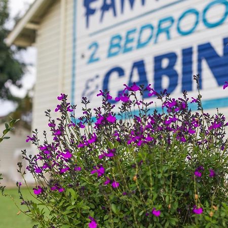Golfers Inn Tenterfield Buitenkant foto