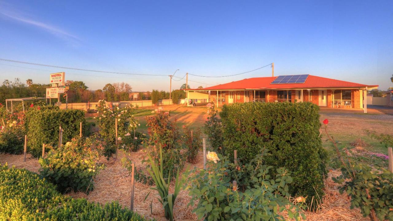 Golfers Inn Tenterfield Buitenkant foto