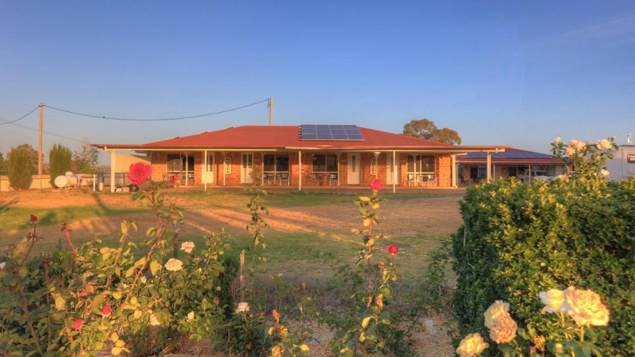 Golfers Inn Tenterfield Buitenkant foto